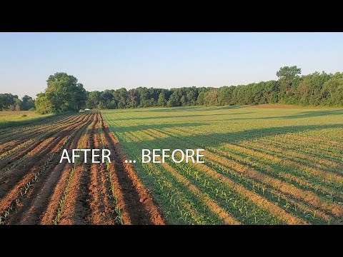 Video: Weed Control