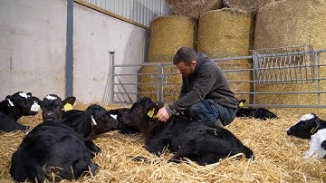 JFC Evolution - Andy Cashman