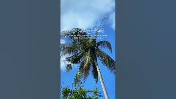 Al-Muddaththir | سورة المدثر #المدثر #مدثر #al_muddaththir #surah_al_muddaththir #سورة #سوره