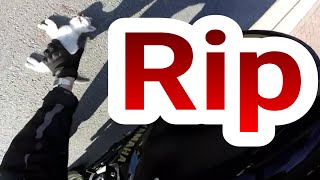 kittens hit and run or trown out of the car