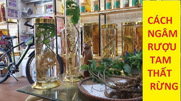 CÁCH NGÂM RƯỢU TAM THẤT RỪNG CHUẨN TẠI NHÀ.