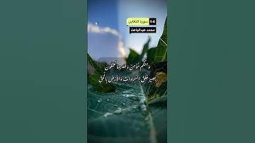 سورة التغابن الآية 1-4