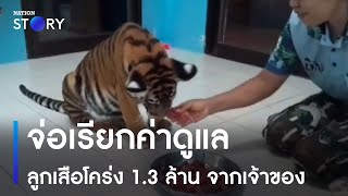 จ่อเรียกค่าดูแลลูกเสือโคร่ง 1.3 ล้าน จากเจ้าของ | ข่าวเที่ยงเนชั่น | NationTV22