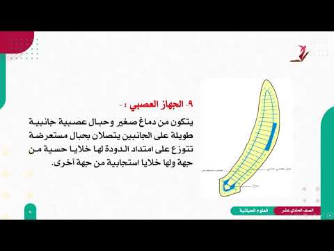 الصف الحادي عشر - العلوم الحياتية | قبيلة الديدان المفلطحة