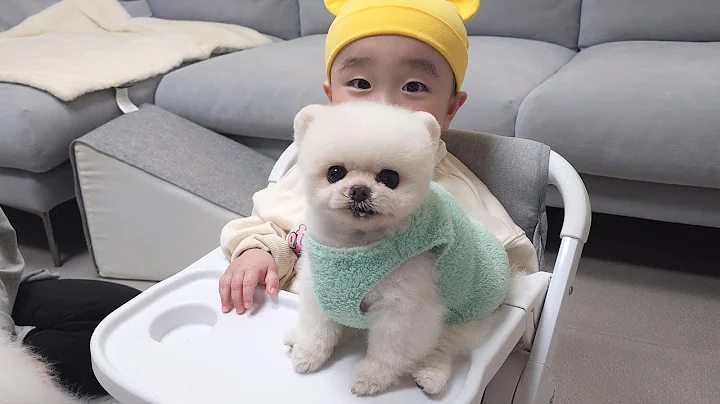 A Baby Came Over to our House! The Cute Reaction o...