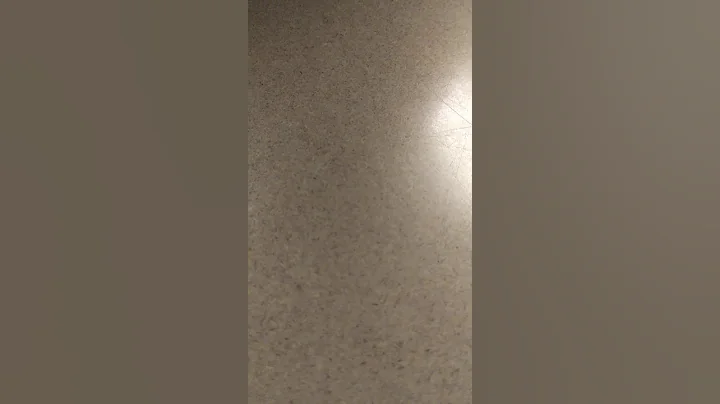 February 28, 2019