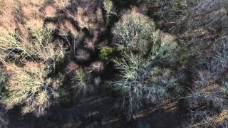 Cornelius Island 3 9 16