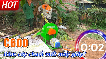 Máy Băm Chuối C600 Băm Thân Cây Chuối Mất Mấy Giây?