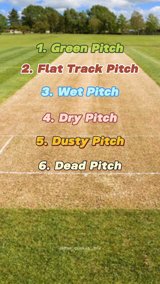 Types of Cricket pitches explained !! YouTube