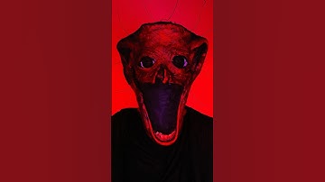 It’s just a dream 👹👹. #theboiledone