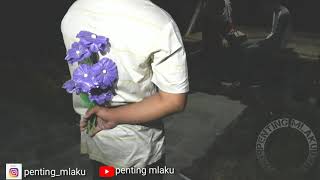 Tresno tekane mati cipt black skin boy .cover by seniningan official