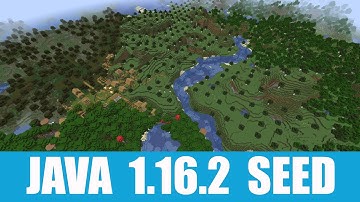 Minecraft Java 1.16.2 Seed: Village at spawn in a birch forest with perfectly distributed trees
