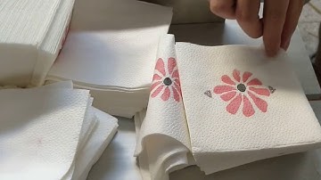 napkin paper machine with two ceramic color printing  two embossing unit