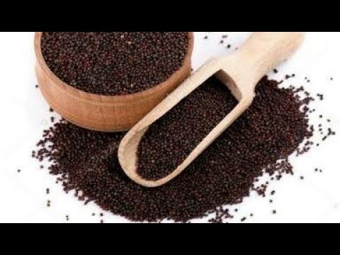 Video: ¿Las semillas de mostaza blanca son lo mismo que las negras?