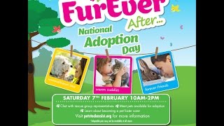 Shepparton Animal Shelter - PETstock Adoption Day Saturday Feb 7