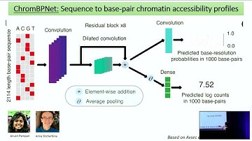 MLHC 2023 - Anshul Kundaje - "Deciphering regulatory genomic syntax and disease-associated genet..."
