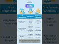Choosing the Right Business Structure: Options, Pros & Cons