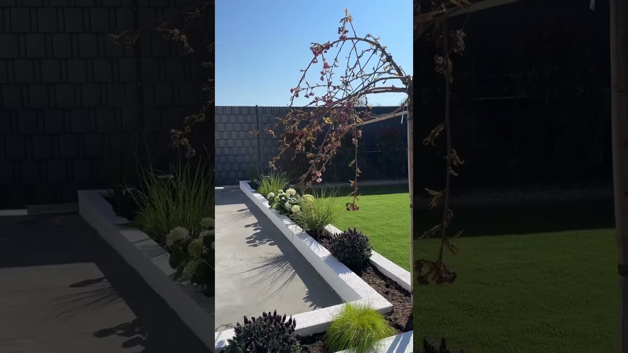 Самый красивый газон , самая красивая грядка , самое лучшее место для парковки машины , крутой сад