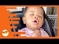 Cutest Babies of the Day! [20 Minutes] PT 9 | Funny Awesome Video | Nette Baby Momente