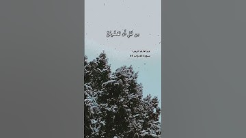 سورة الاحزاب الايه 49