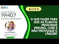 Live 03 o que fazer para que as plantas medicinais previna cure e no provoque o cncer