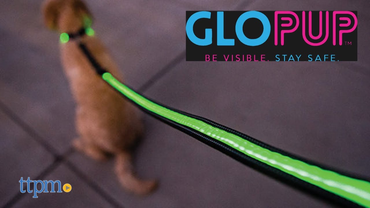 LED Dog Collar & Leash from GloPup