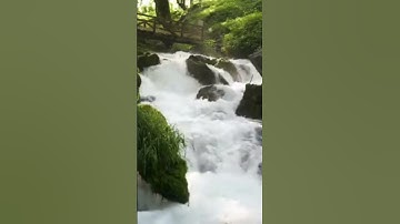 #بلغوا_عني_ولو_آية #اسلامية #آيات #تيك_توك #tiktok #quran
