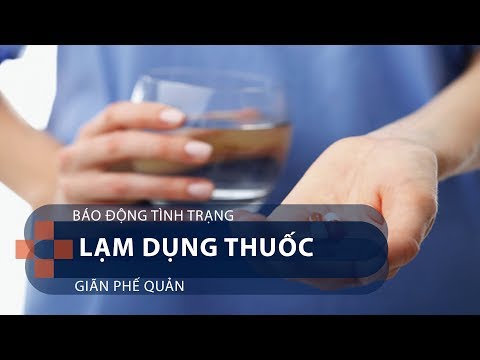 Video: Cát đeo tai thỏ là khá nhiều Everythhing