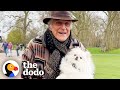 87year old man pampers his dog like a princess  the dodo