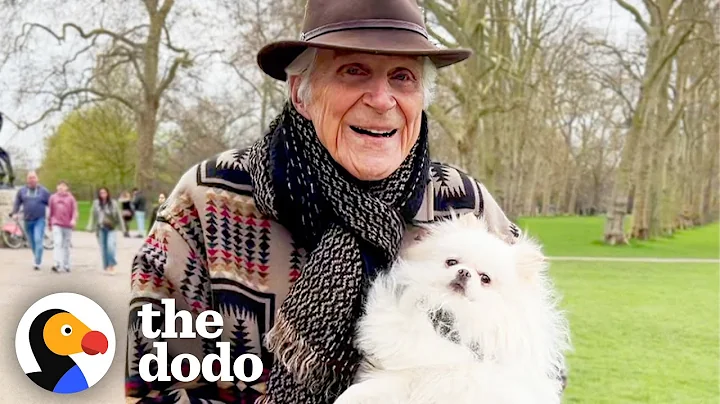 87-Year Old Man Pampers His Dog Like A Princess | The Dodo - DayDayNews