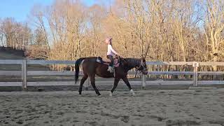 ruby offenberger class 36 y ranch 12u March