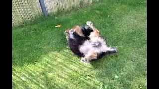 Lina - Frisch Geduscht