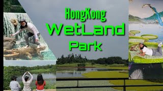 Hongkong wetland park||how to get there ...