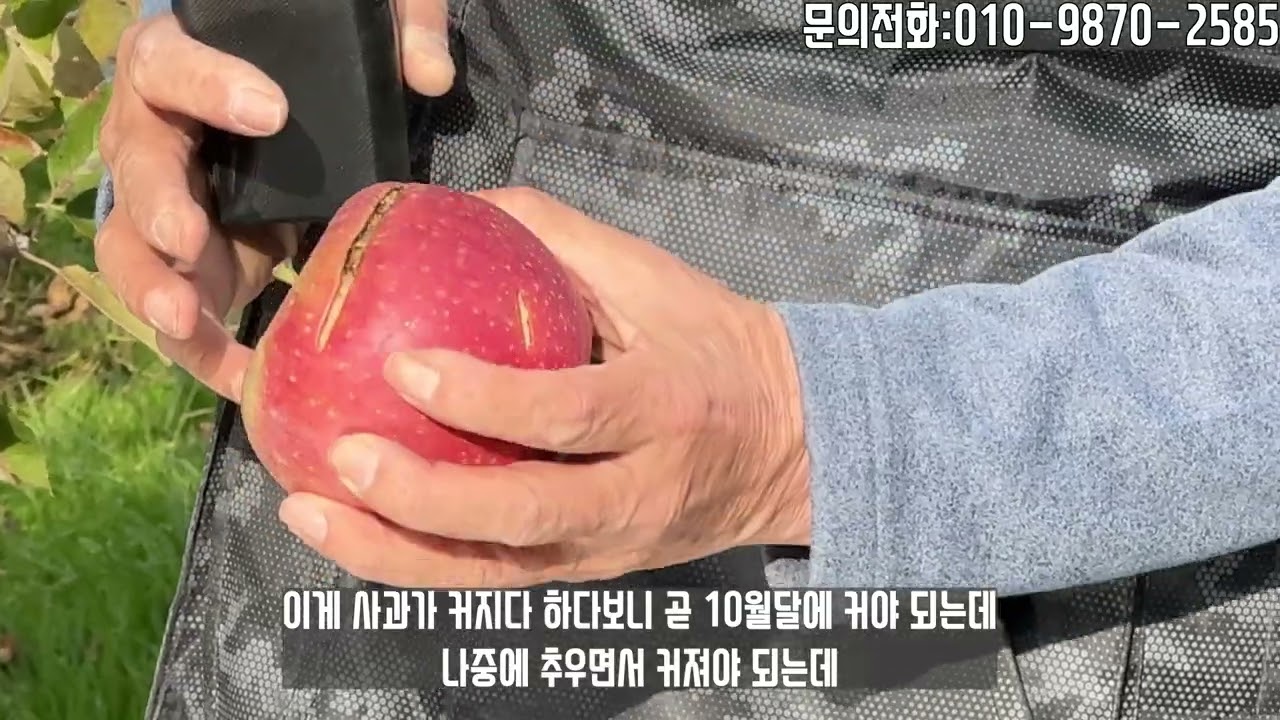 올해 유난히 심한 옆구리 열과에 대해