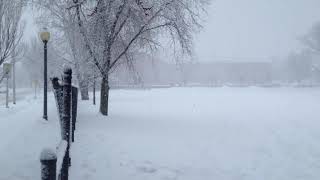 Winter in Malden Massachusetts