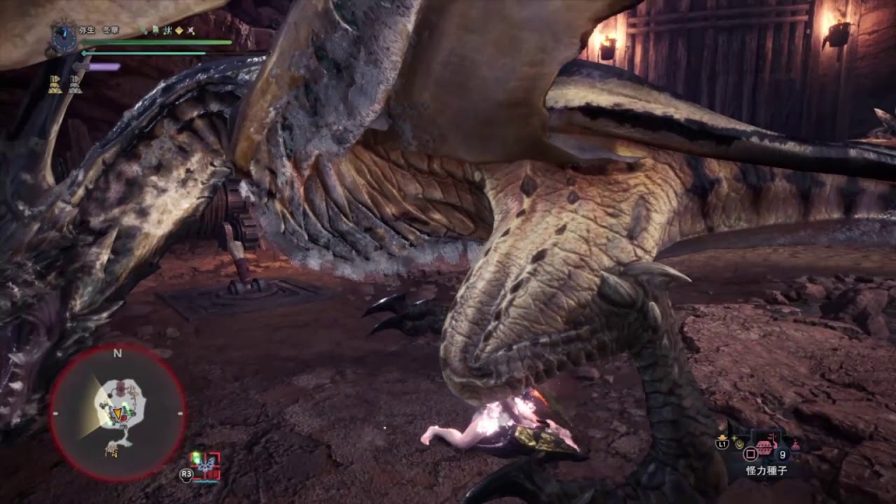 Mhw I 特殊闘技場 風漂竜マスター編レイギエナ片手剣4 31 78 Ta Wiki Rules Legiana Sword And Shield Solo Youtube