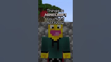 Minecraft Pause Trick