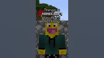 Minecraft Pause Trick 