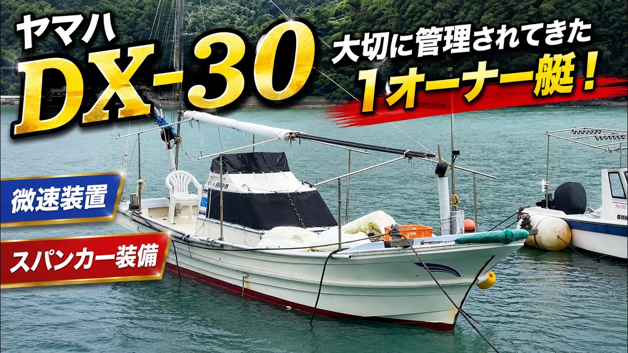 Yamaha DX-30: Well-Maintained 1-Owner Boat! Bottom Paint
