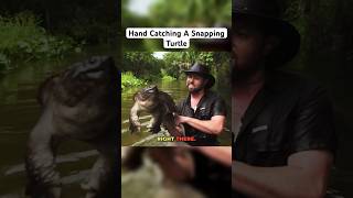 Hand Catching a Snapping Turtle