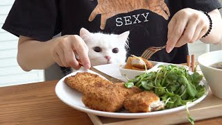 Just One Bite, Please! Cats Eating Cutlets! (ENG SUB)