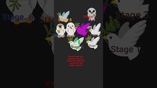 lore about the new bird infection