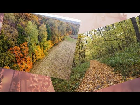 DJI Mavic Mini - Ясная Поляна (Лев Николаевич Толстой)