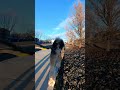 Shadowlapse