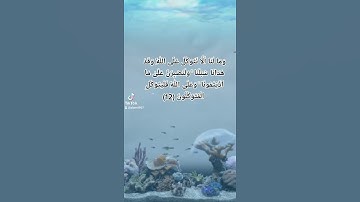 ومالنا الا نتوكل على الله || تلاوة مؤثرة للشيخ عبدالله القرافي