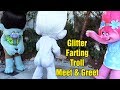 We Meet Glitter Farting Troll Guy Diamond with Poppy and Branch at Universal Studios Orlando