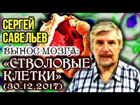 «ВЫНОС МОЗГА #25»: «Стволовые клетки». 30.12.2017. Савельев С.В.