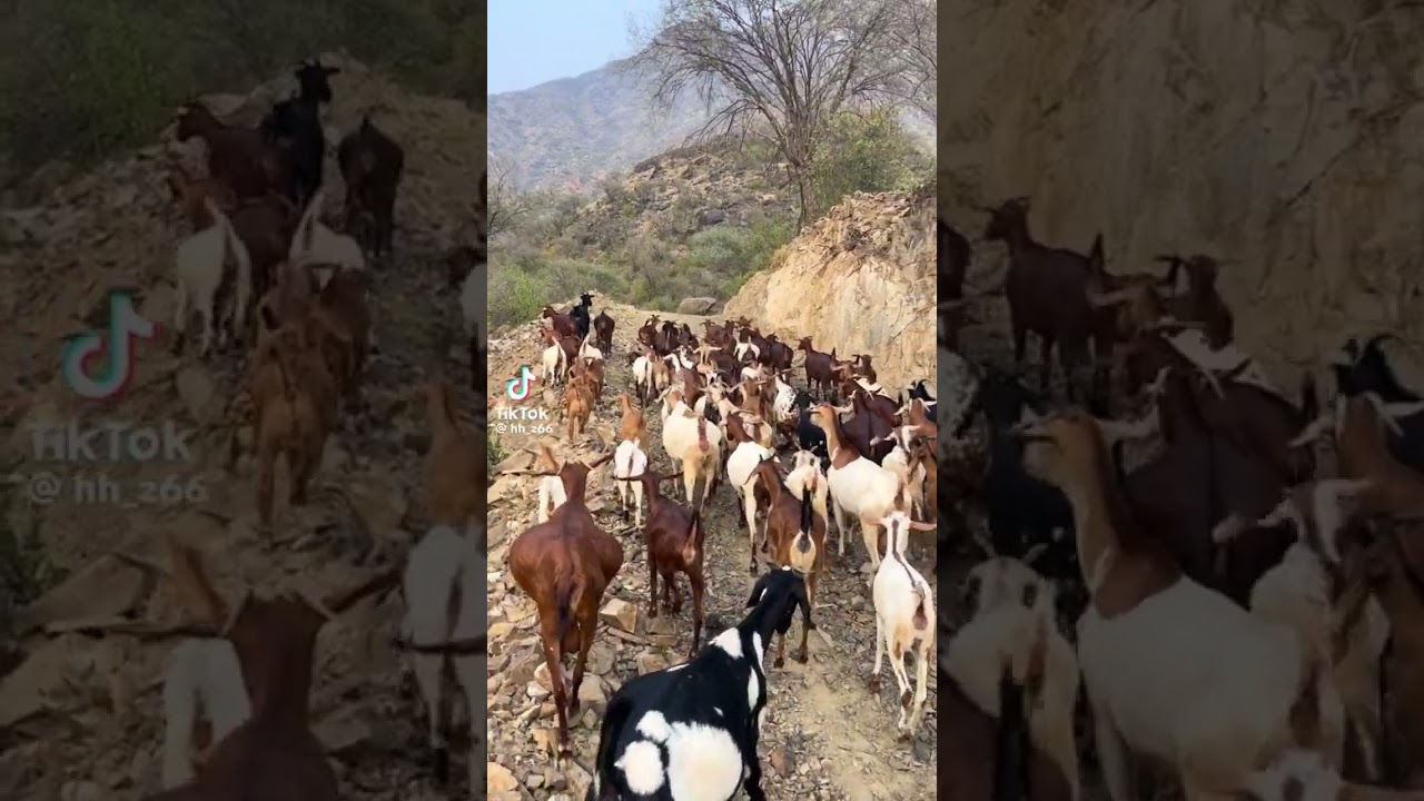 ٢٧ يونيو ٢٠٢٤