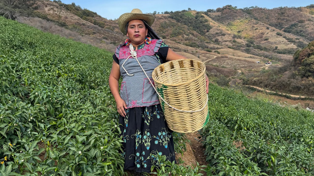 Ya estoy cansada de que la gente no valore el trabajo del campo #LaTiaMeche 