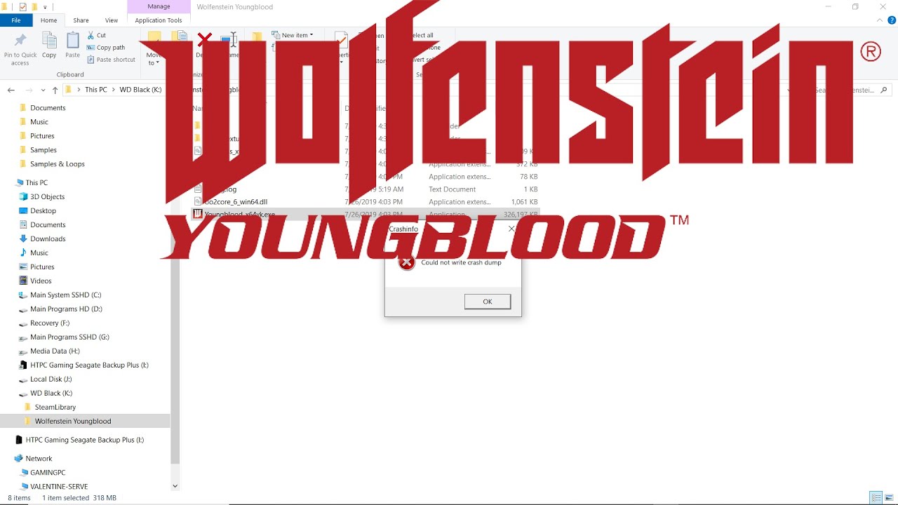 Wolfenstein 2 could not write crash
